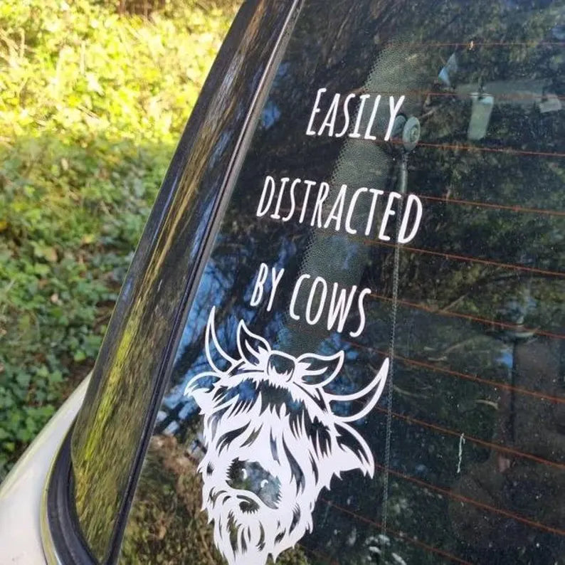 Easily Distracted Highland Cow vinyl