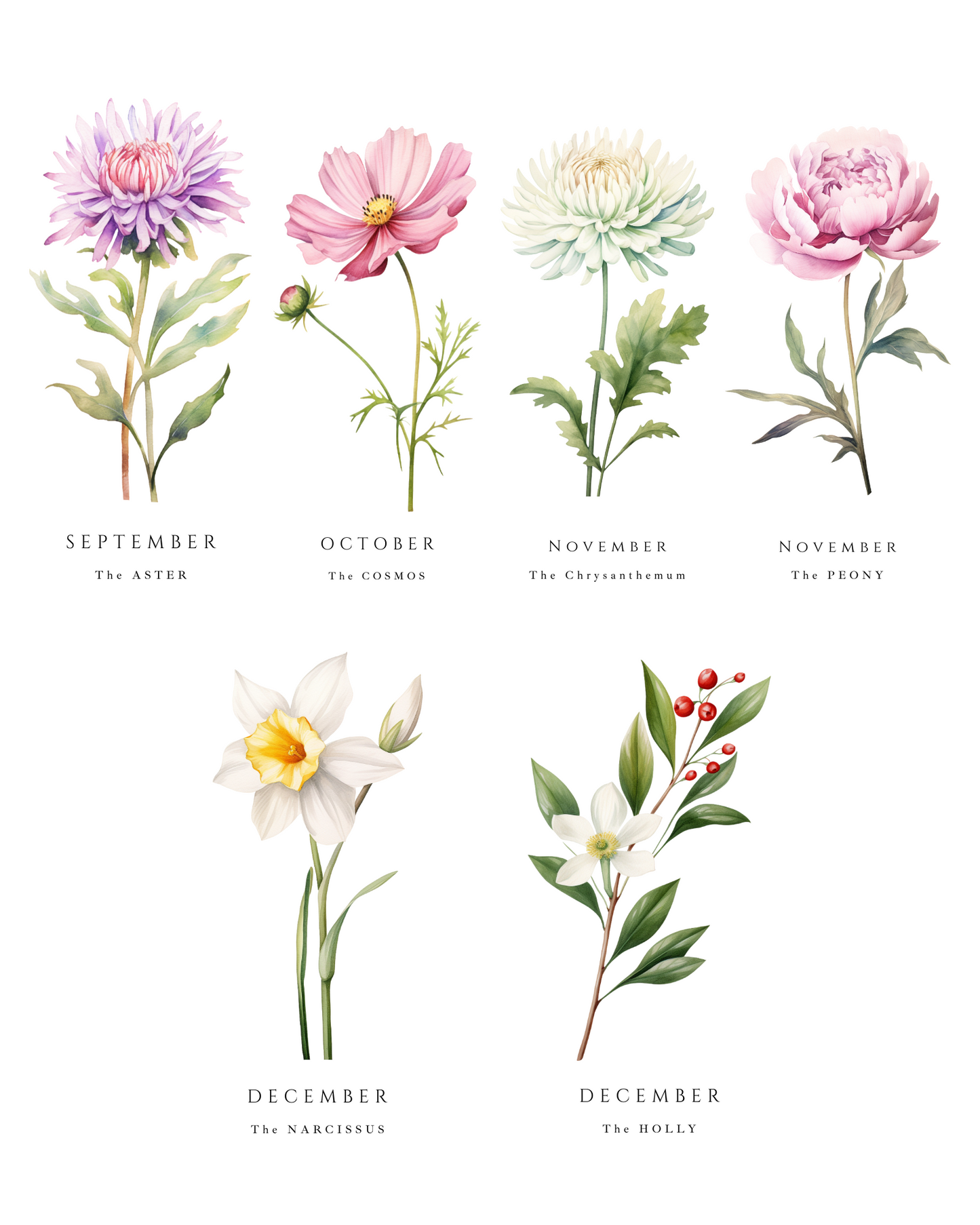 Our Family Garden Personalised Birth Flower Art